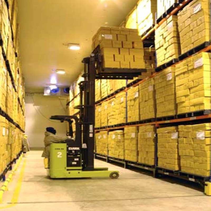 Cold Storage Racks Manufacturers In Delhi Cold Storage Racks Manufacturers In Delhi